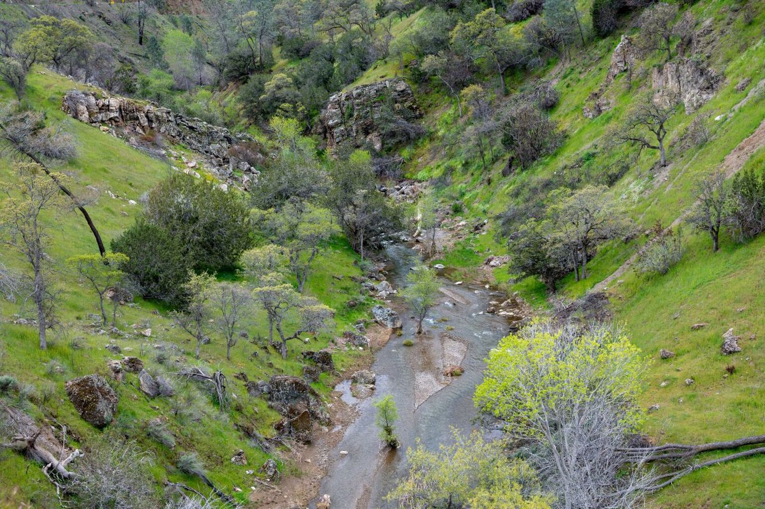 We're Hiring: Land Use Advocate