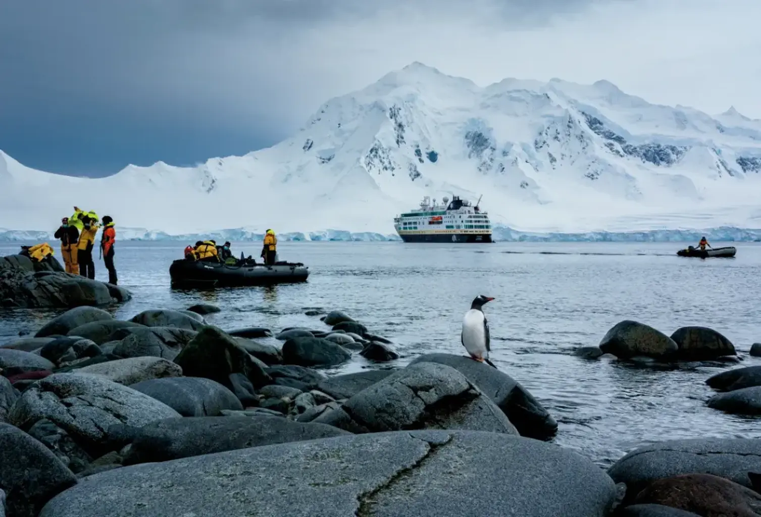 How Science Is Rewriting Cruising in Antarctica