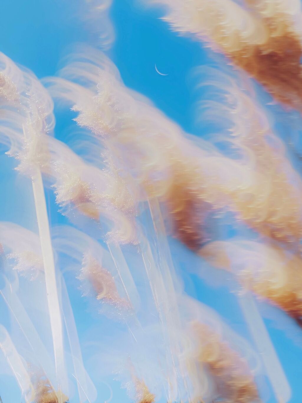 Summer Sky 
