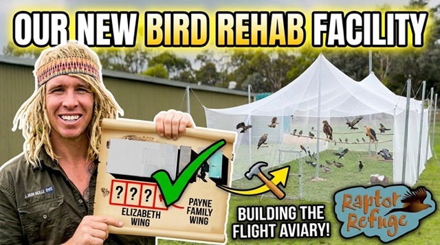 Bird & Flight Aviary Build - Donation