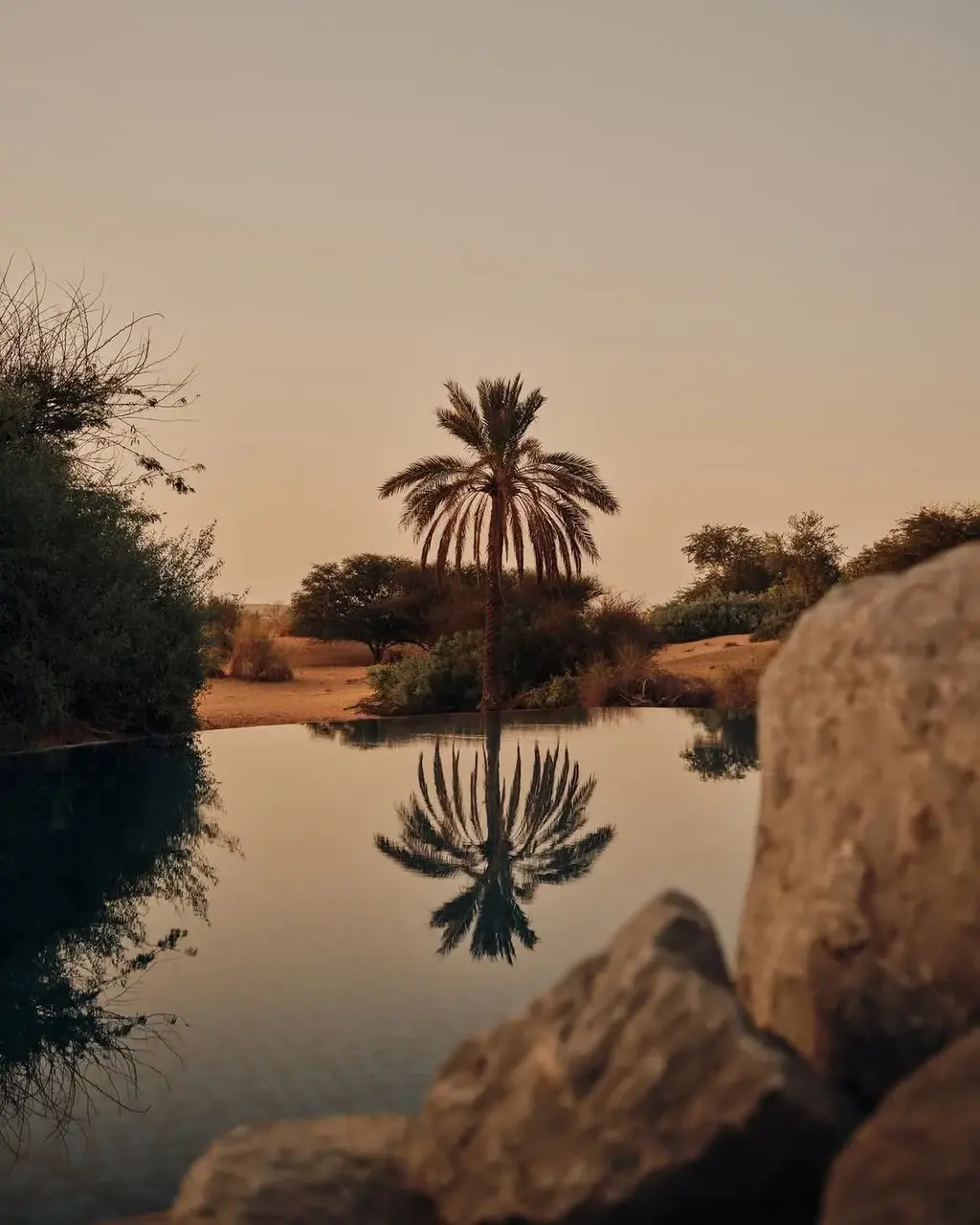 Al Maha, a Luxury Collection Desert Resort &amp; Spa