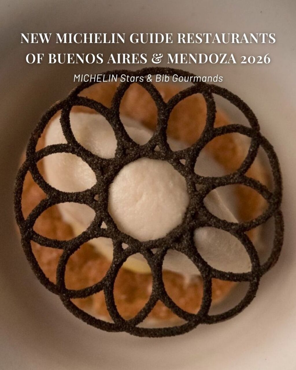 ARG 26