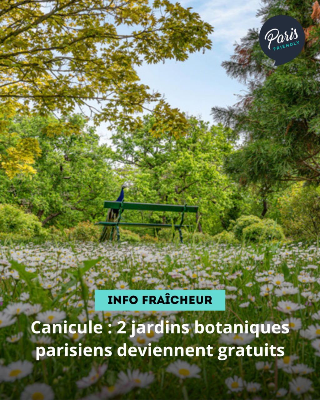 Canicule : 2 jardins botaniques parisiens deviennent gratuits