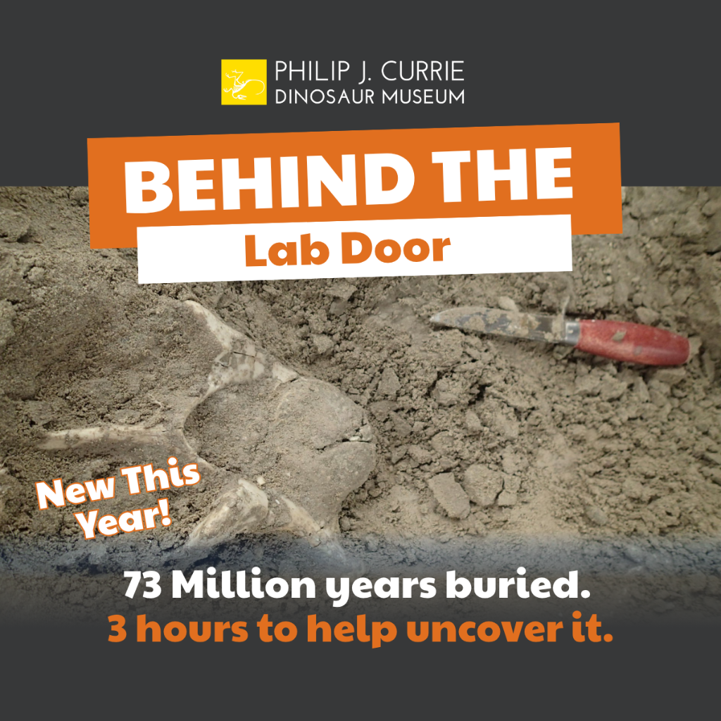 Behind the Lab Door
