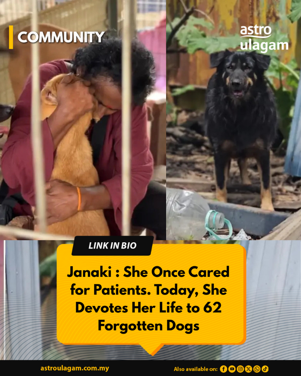 Janaki : She Once Cared for Patients. Today, She Devotes Her Life to 62 Forgotten Dogs