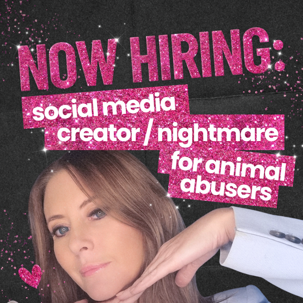Apply here: social media content creator