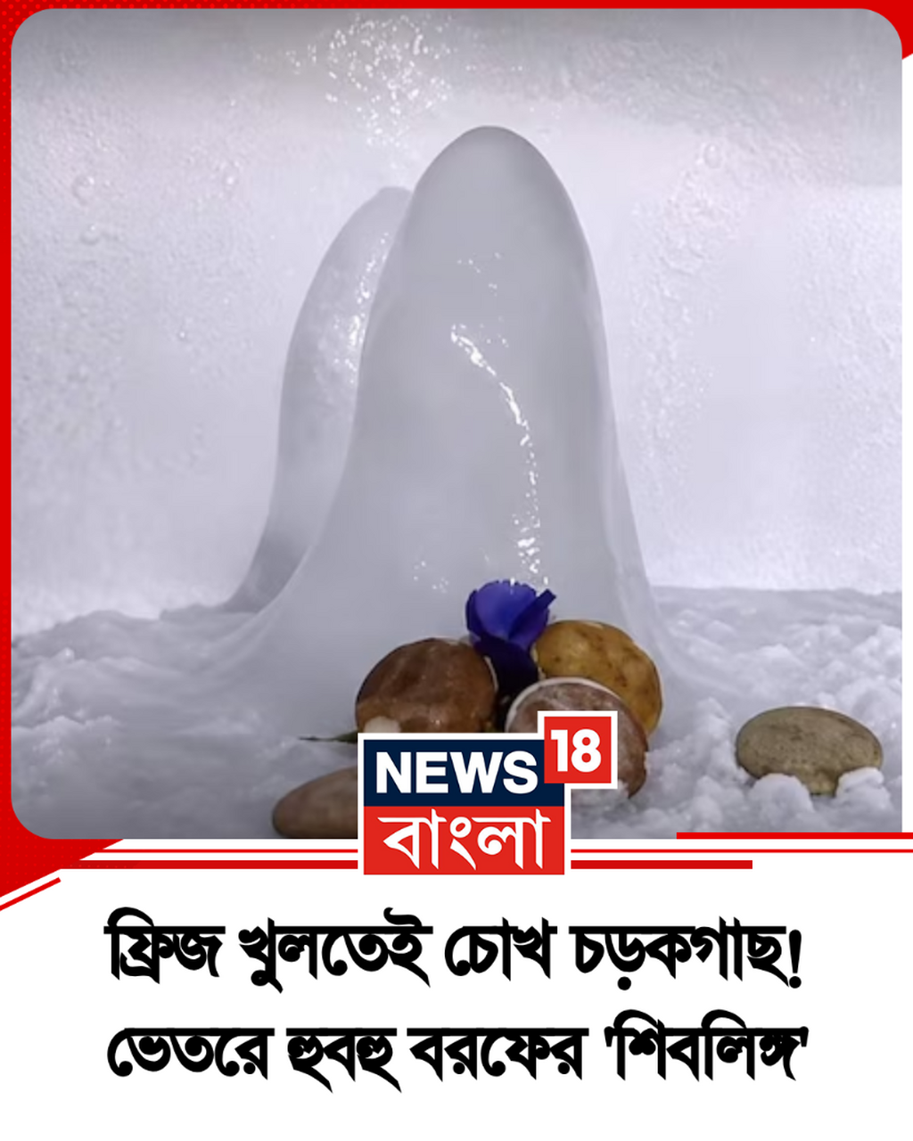ফ্রিজ খুলতেই চোখ চড়কগাছ! 