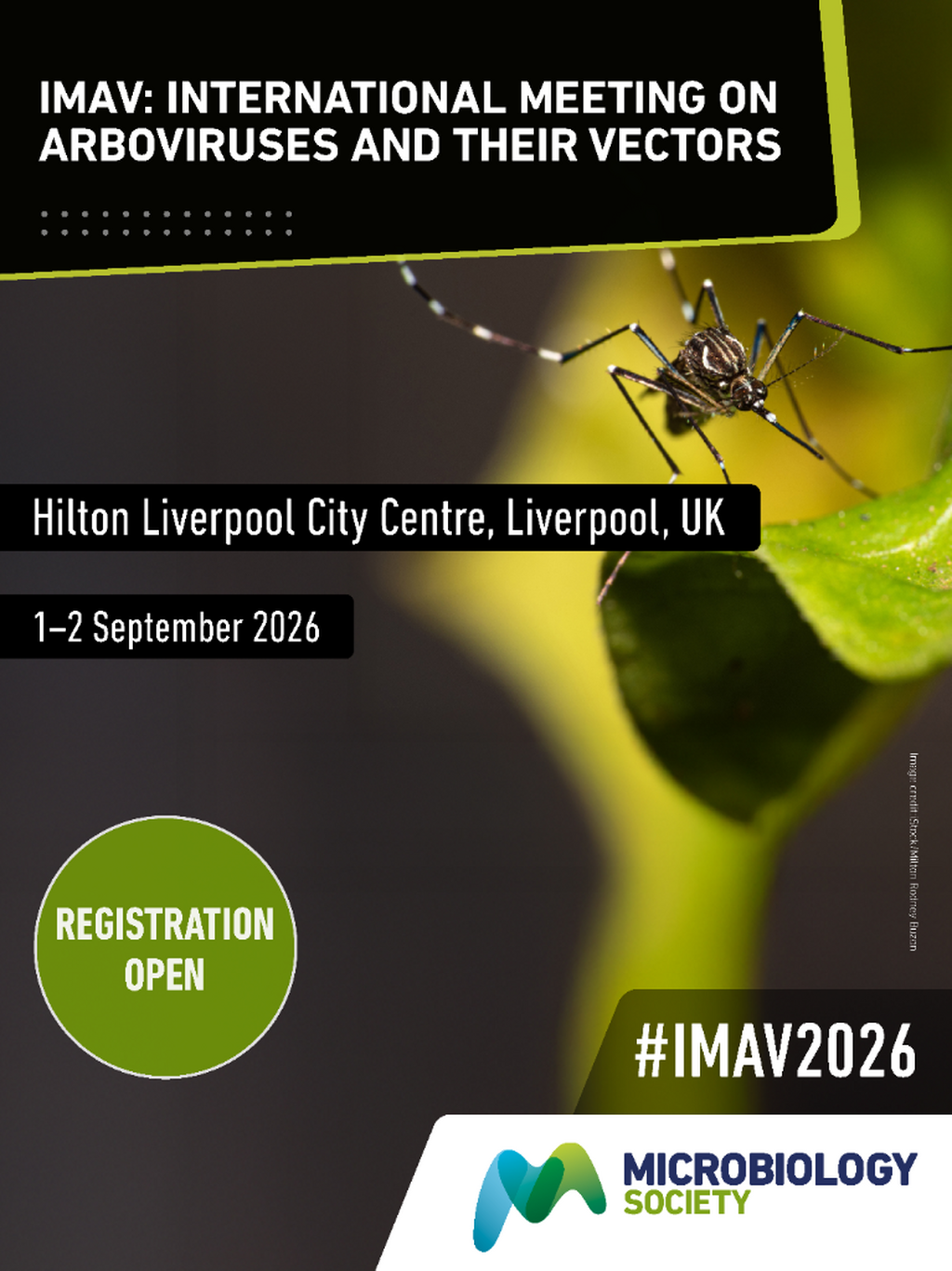 IMAV2026