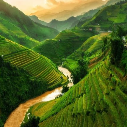 January 20, 2027 - February 2, 2027: Journey Across Vietnam and Cambodia