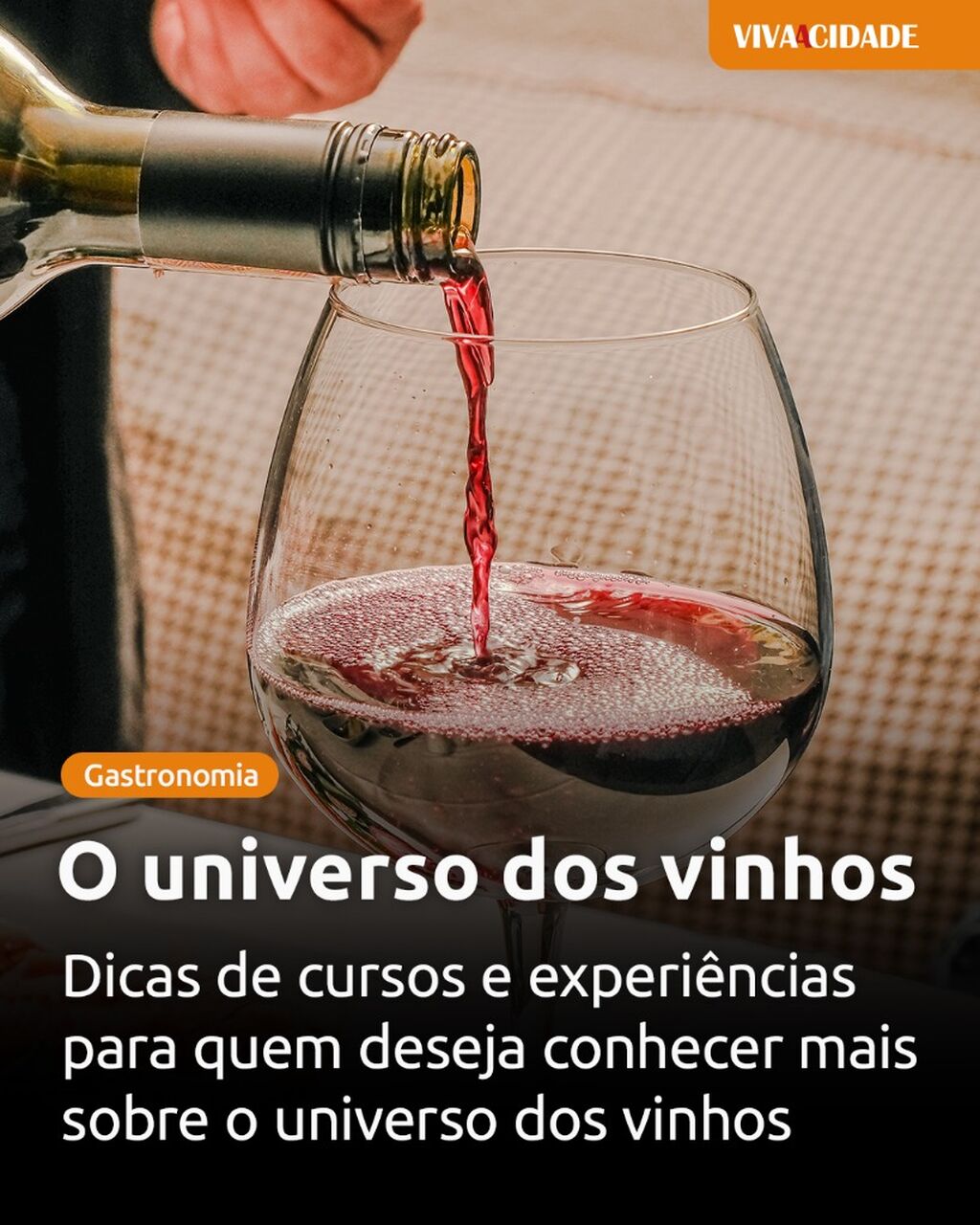 O universo dos vinhos