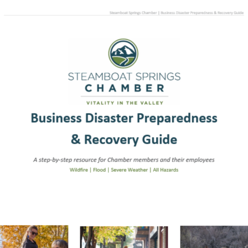 Disaster Preparedness and Recovery Guide