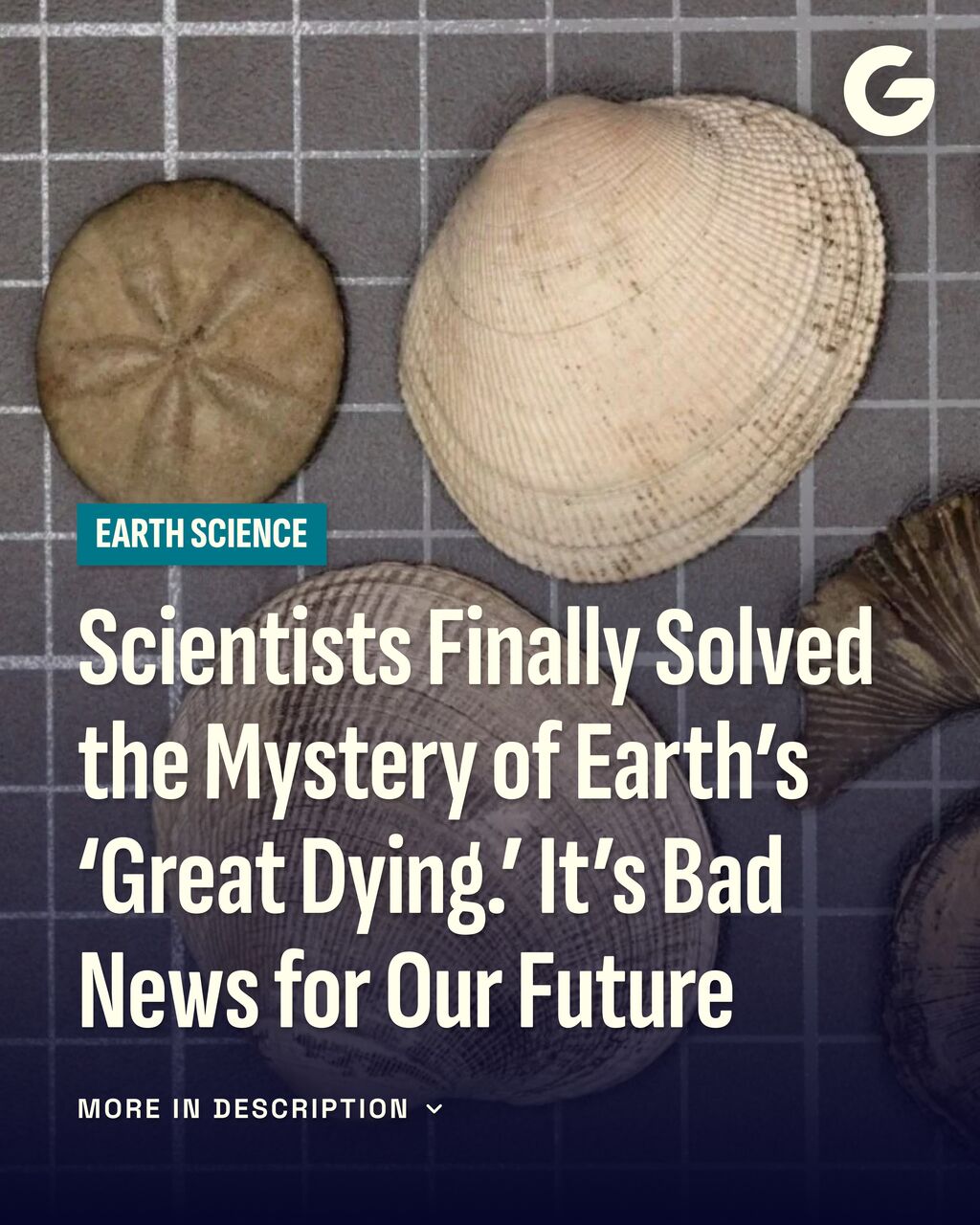 Scientists Finally Solved the Mystery of Earth&rsquo;s &lsquo;Great Dying.&rsquo; It&rsquo;s Bad News for Our Future
