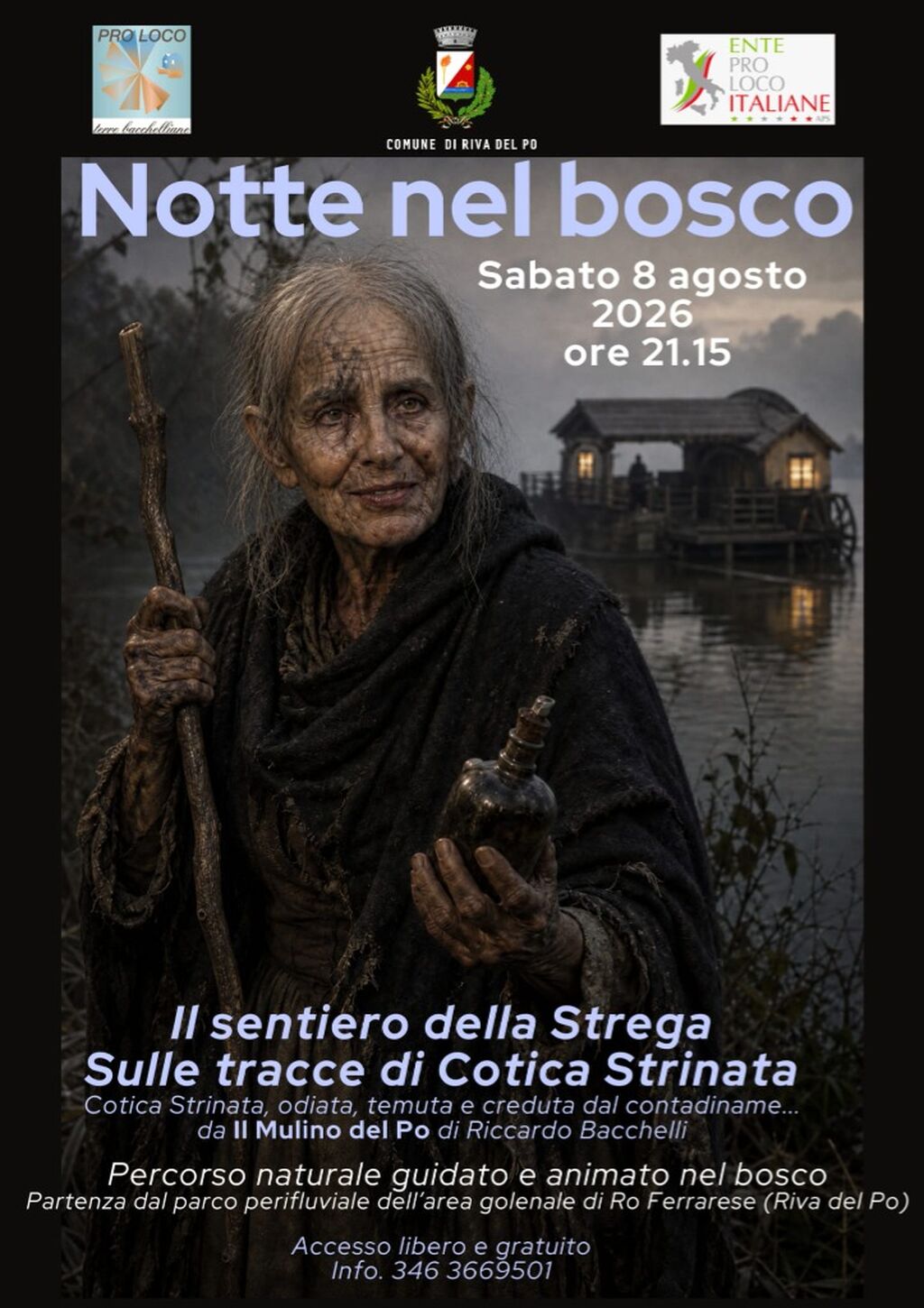 Notte nel bosco a Ro: sulle tracce di Cotica Strinata
