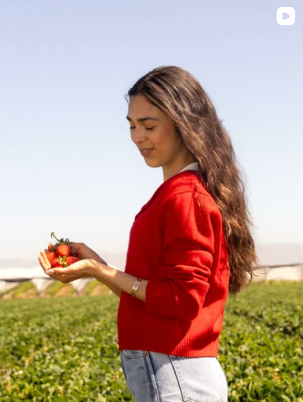 Sustainable Farming | California Strawberries