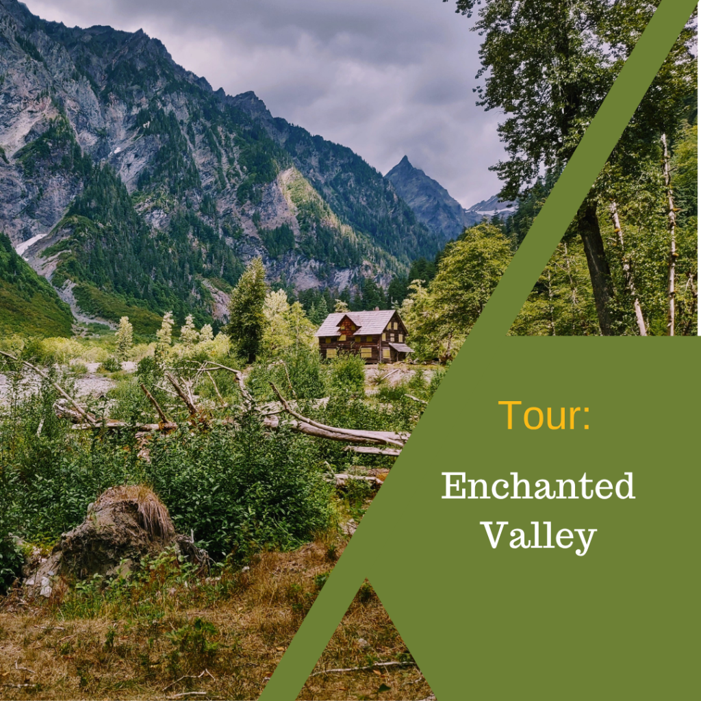 Enchanted Valley Backpack