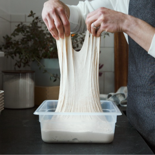 6L Proofing Container