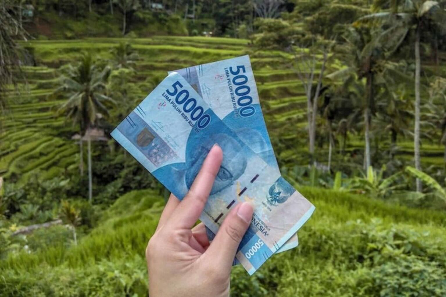 8 Things To Do In Ubud 