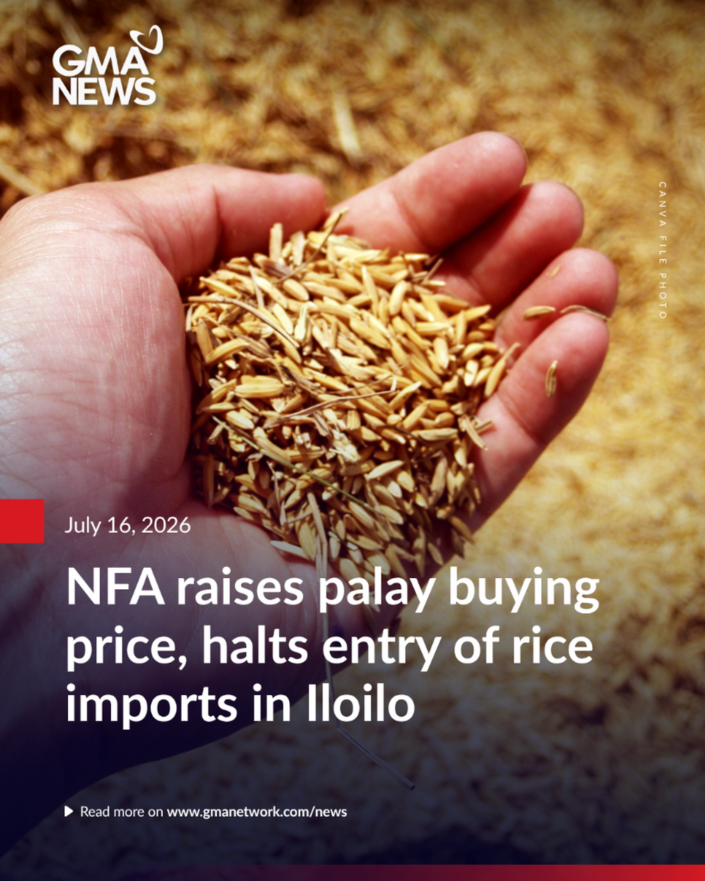 NFA raises palay buying price, halts entry of rice imports in Iloilo
