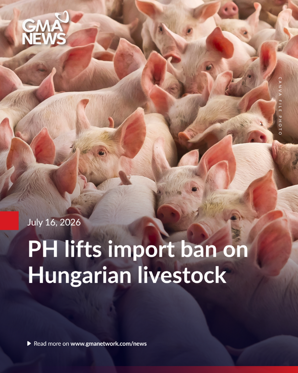 PH lifts import ban on Hungarian livestock