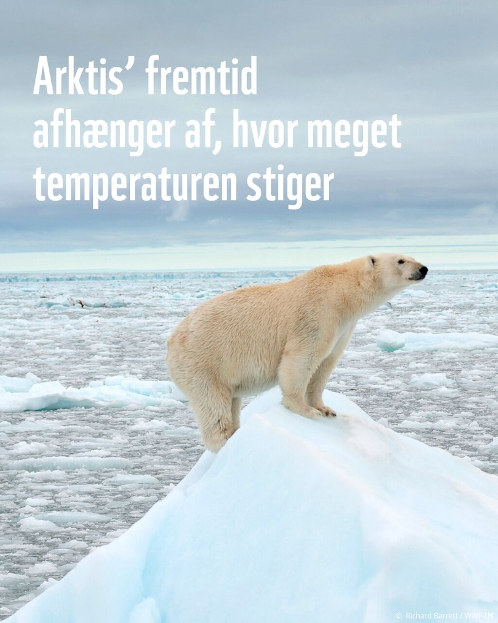 Den sidste is i Arktis