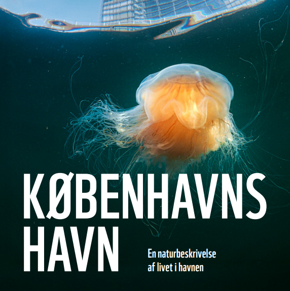 Naturbeskrivelsen | K&oslash;benhavns Havn