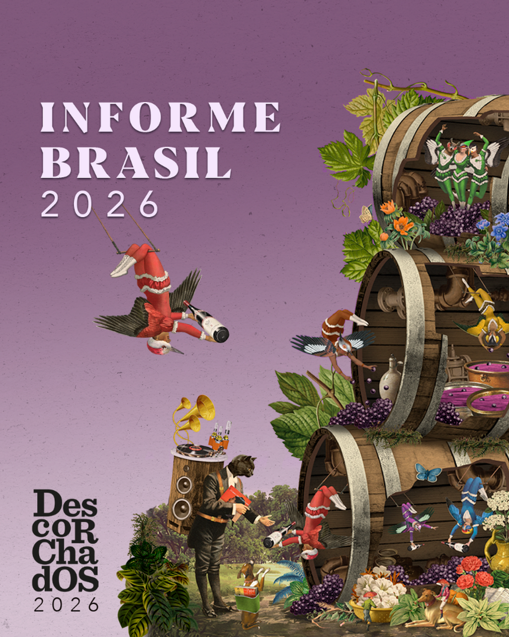 INFORME BRASIL 2026 DESCORCHADOS
