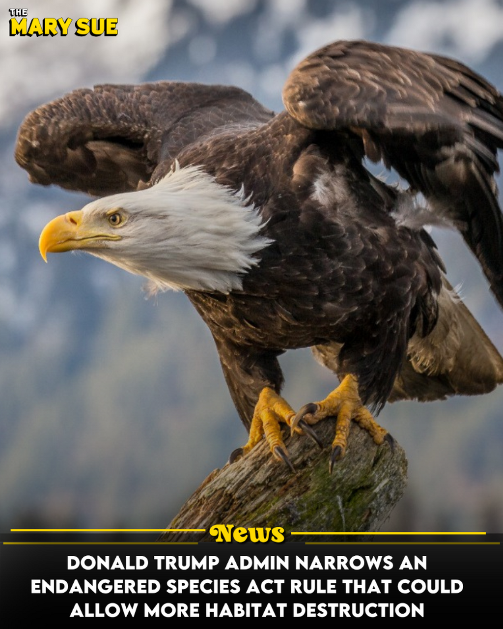 Donald Trump Admin Narrows an Endangered Species Act Rule That Could Allow More Habitat Destruction