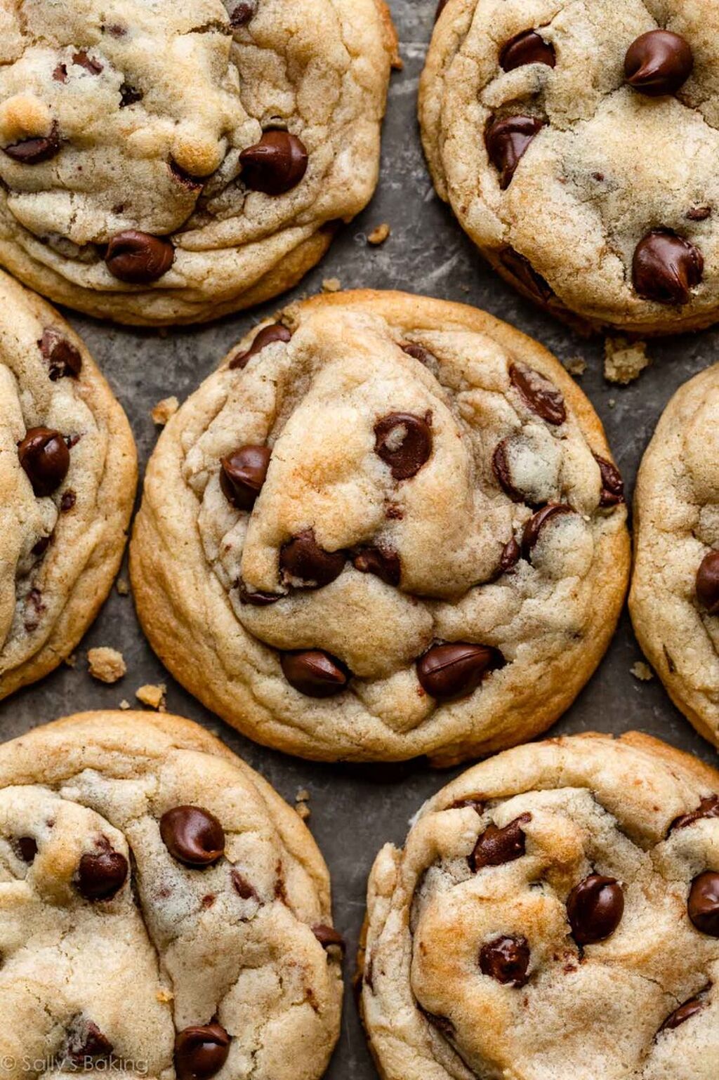 Greg's Pick for Best Chocolate Chip Cookie Recipe