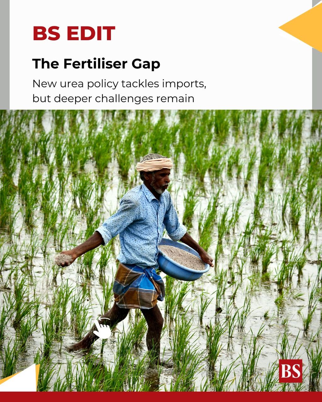 New urea policy tackles imports, but ignores fertiliser subsidy distortions
