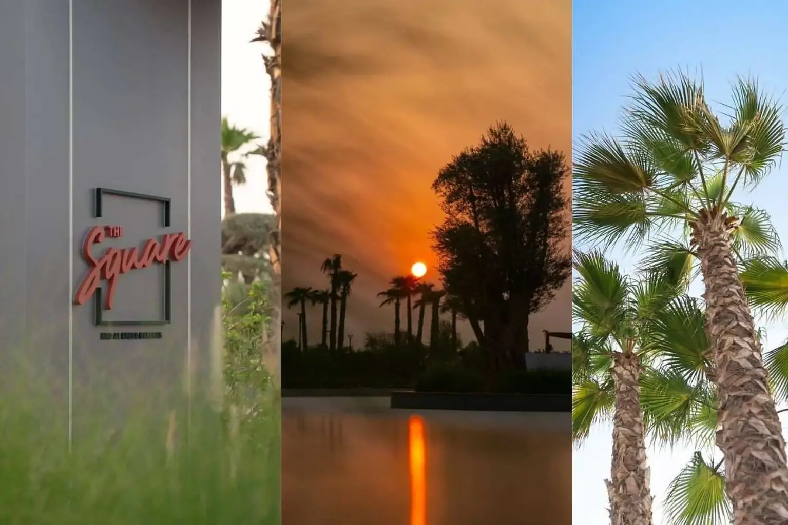The Square at Nad Al Sheba Gardens