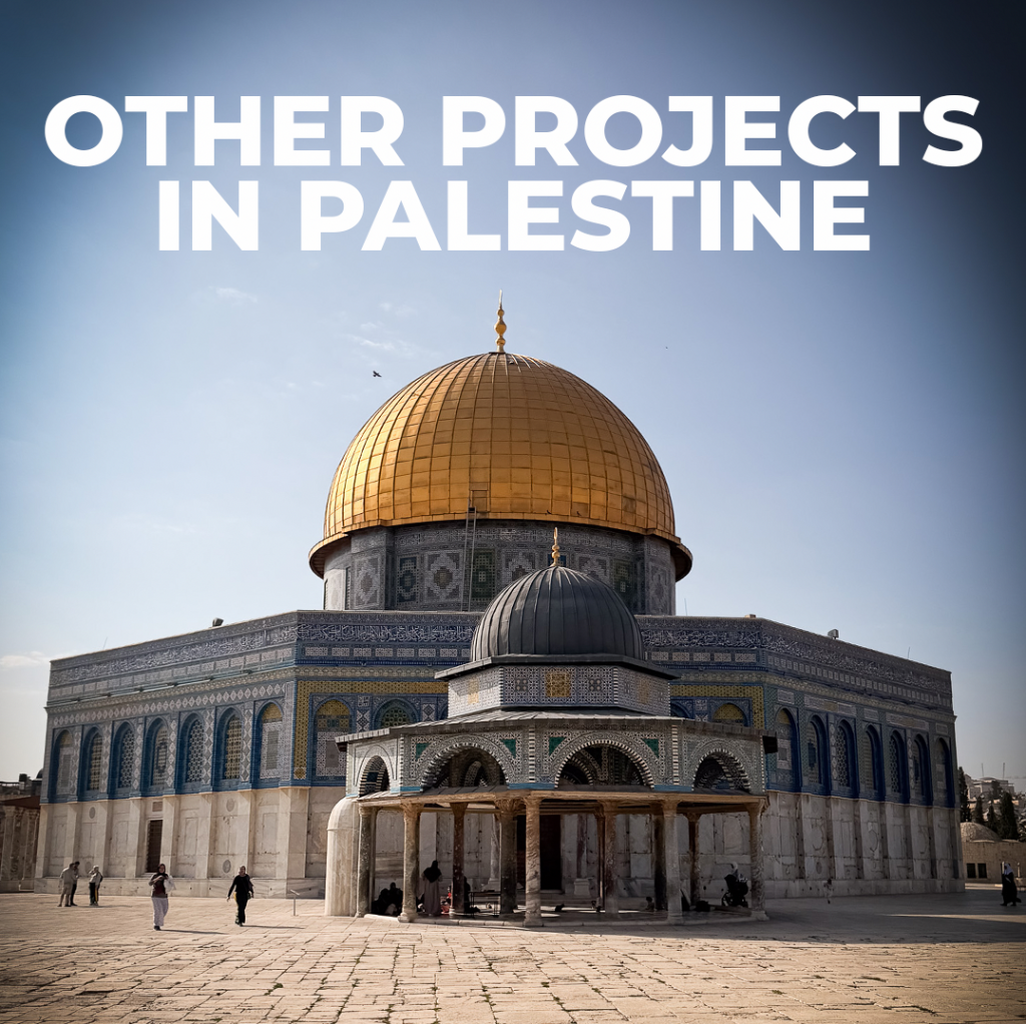 OTHER MISSIONS IN PALESTINE