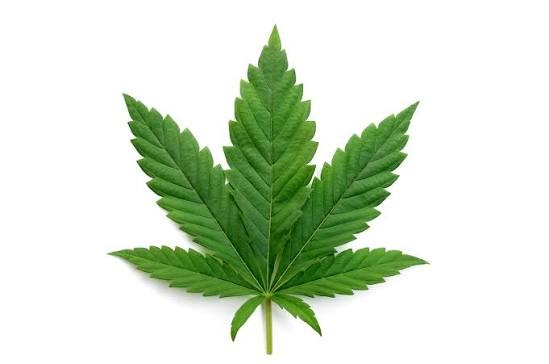 SOMATIC CANNABIS RETREAT - SYD 11-13TH DEC