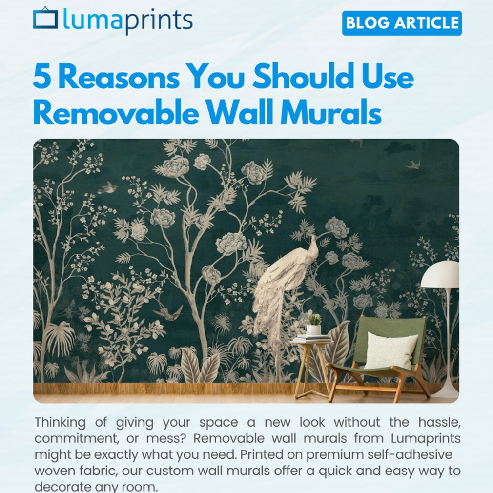 5 Reasons You Should Use Removable Wall Murals