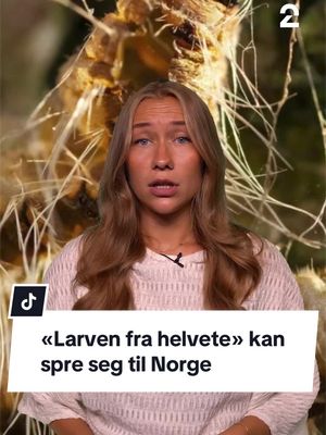 Larven fra helvete