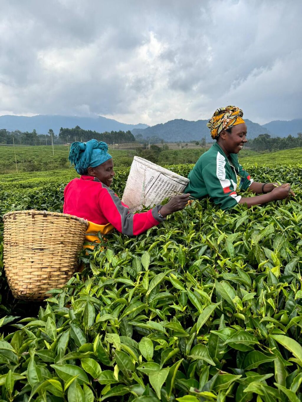 Rwanda