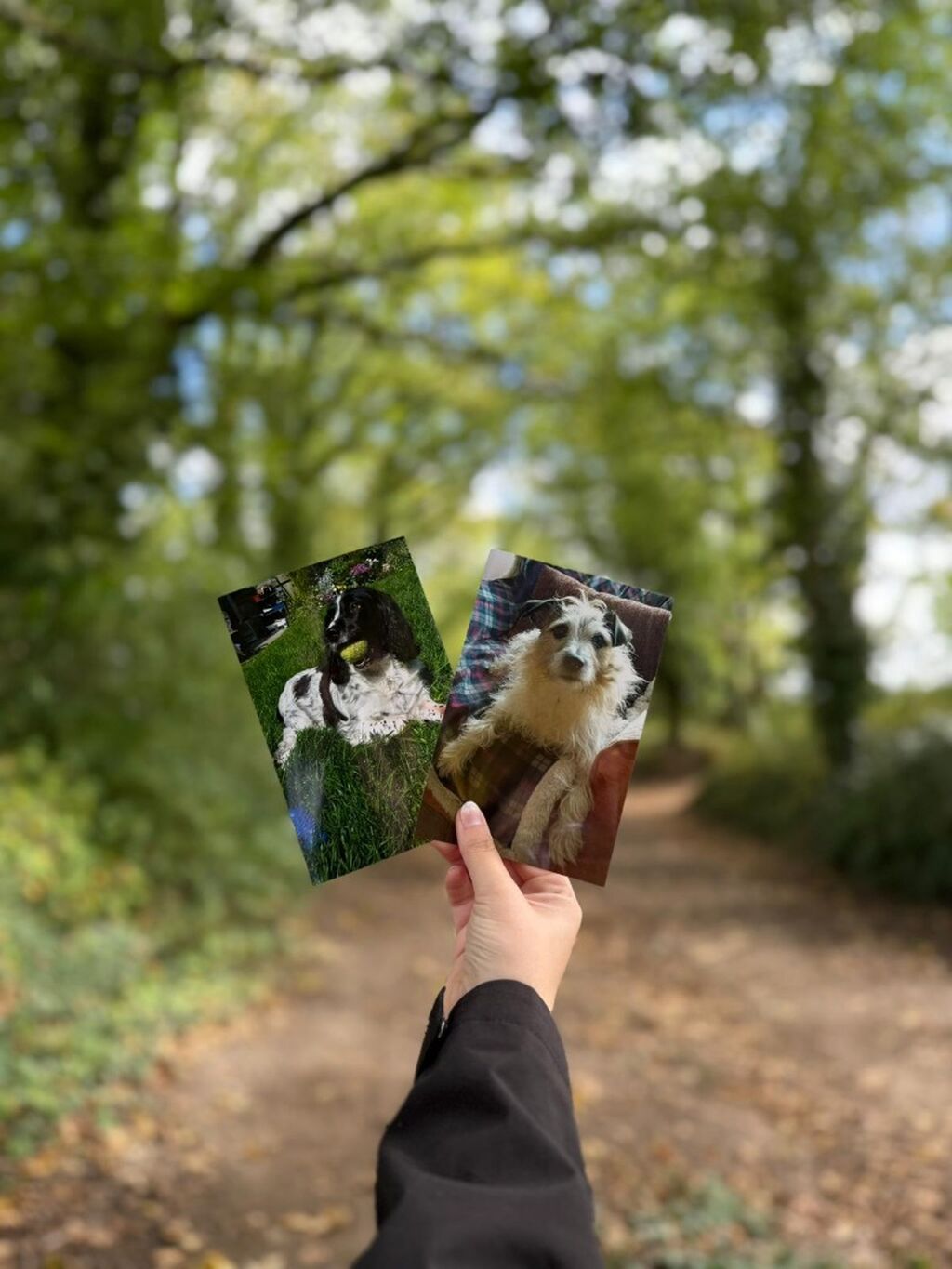 Walk to Remember🪽