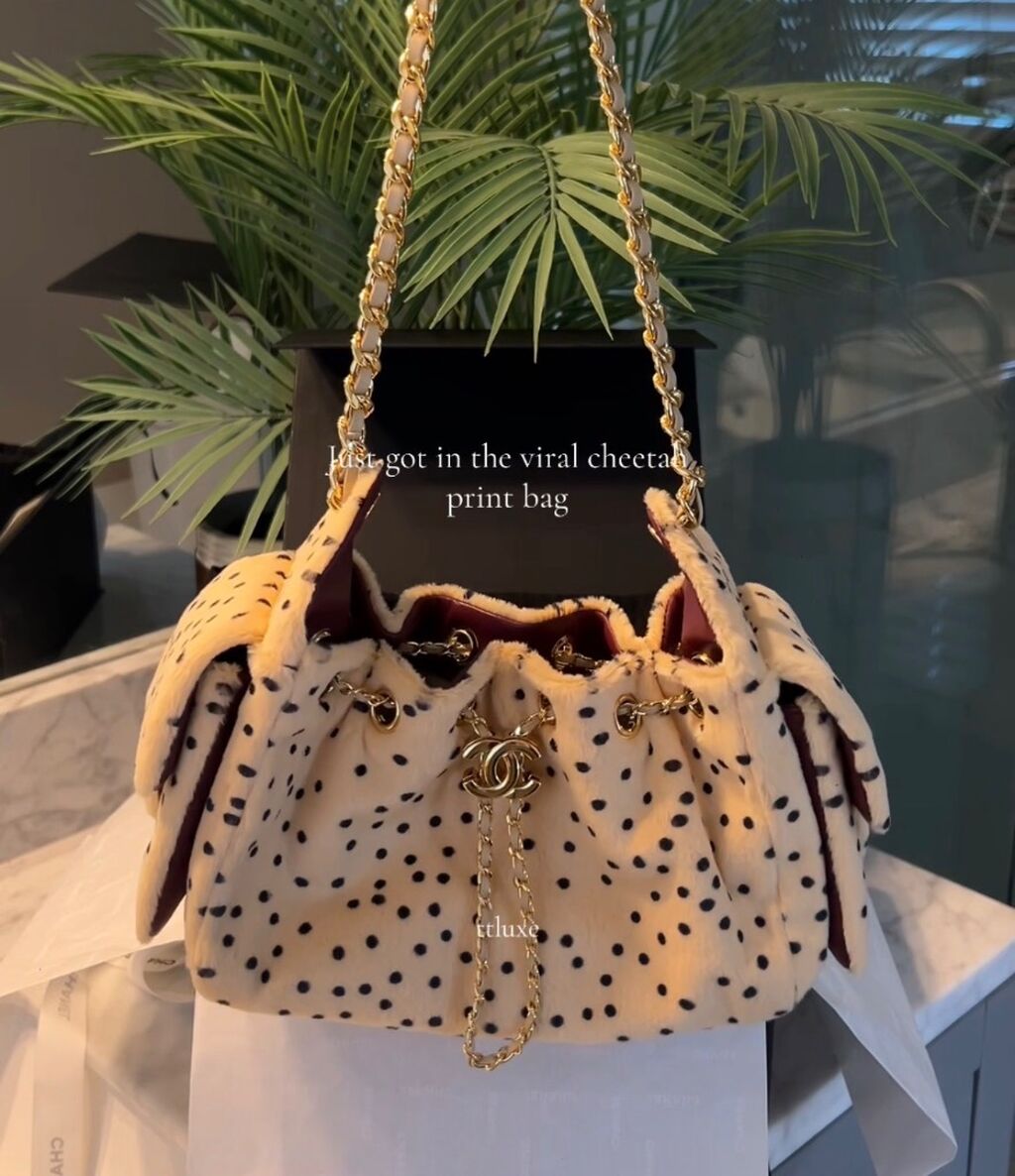 Chanel 25 mini cheetah print bag 