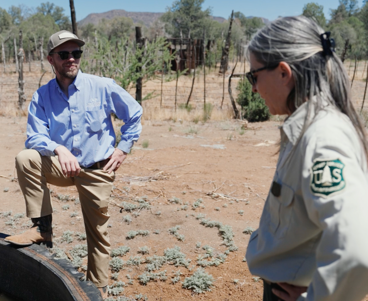 Highway Tanks Project, Tonto National Forest, Arizona