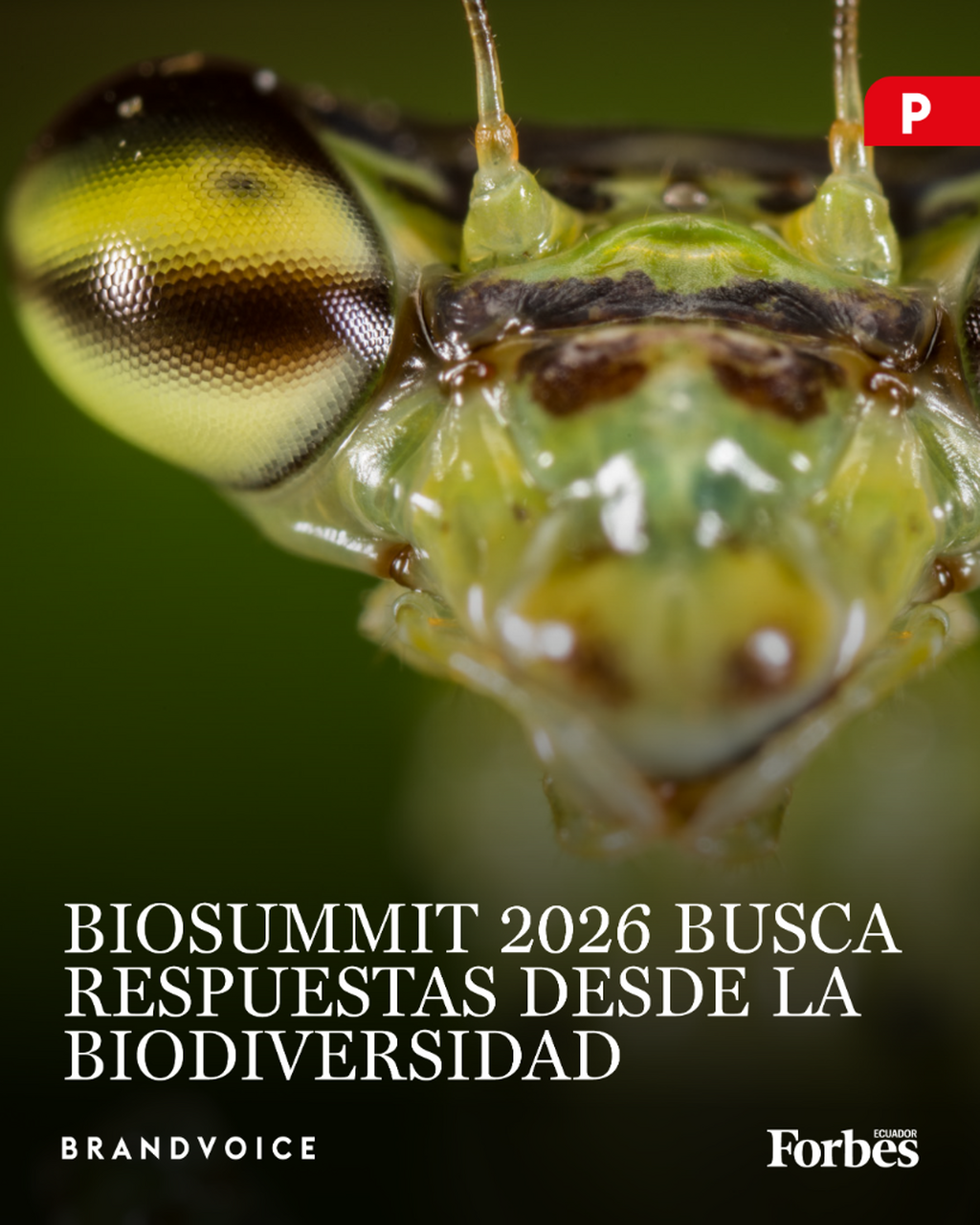BioSummit
