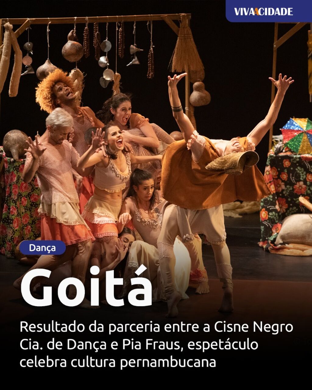 Goit&aacute;