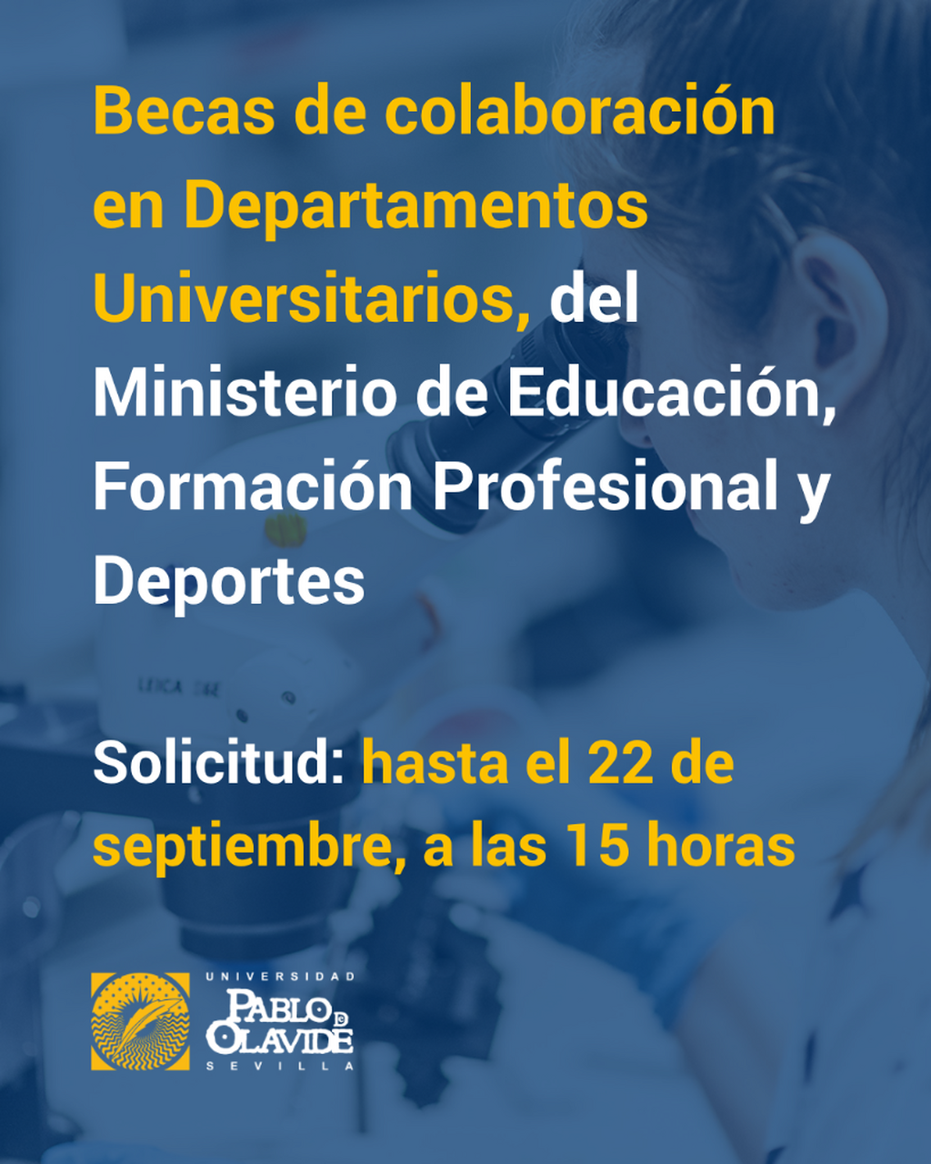 Becas de colaboraci&oacute;n en Departamentos Universitarios del Ministerio de Educaci&oacute;n, Formaci&oacute;n Profesional y Deportes