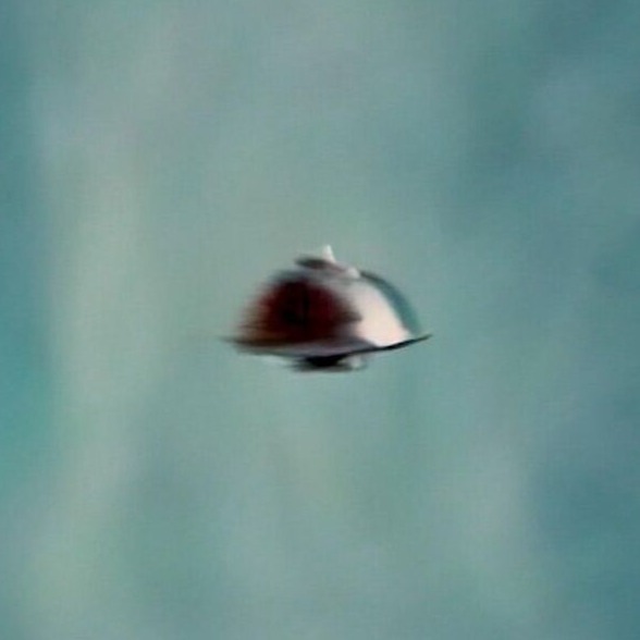 🛸The Westall UFOs Series🛸
