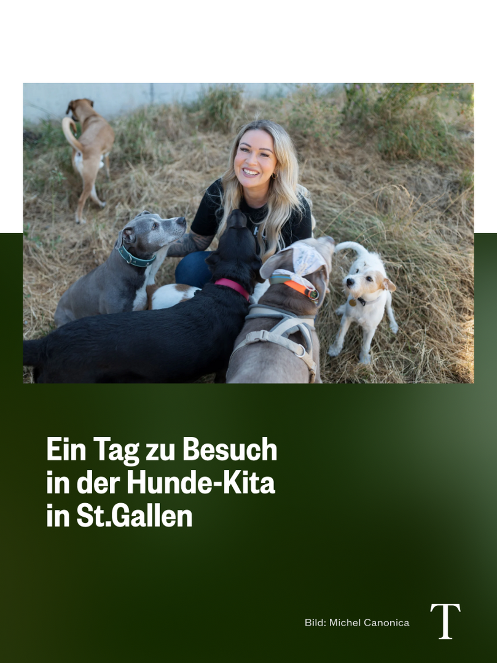 Hunde-Kita