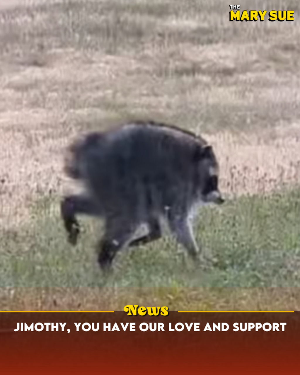Jimothy, You Have Our Love and Support