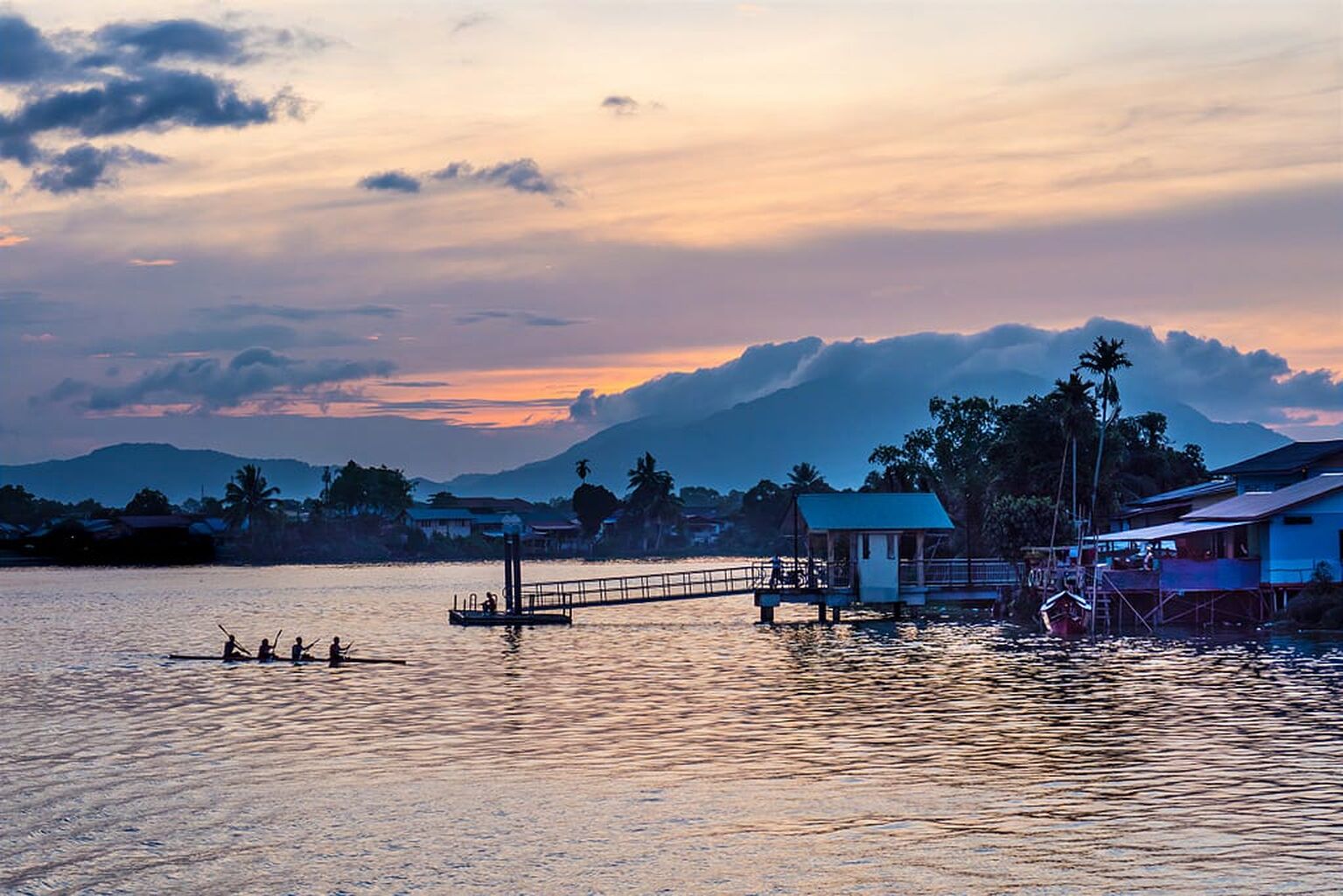 TWFF Essay: World Mangrove Day | By Julian & Tassoula