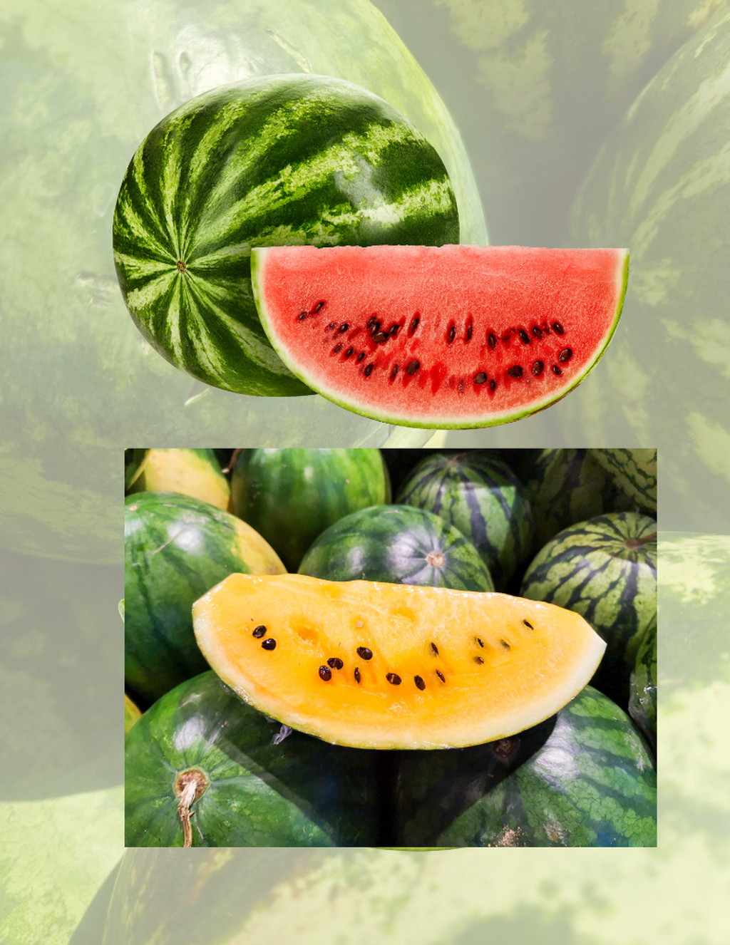 Pre-Order Watermelons 7/26