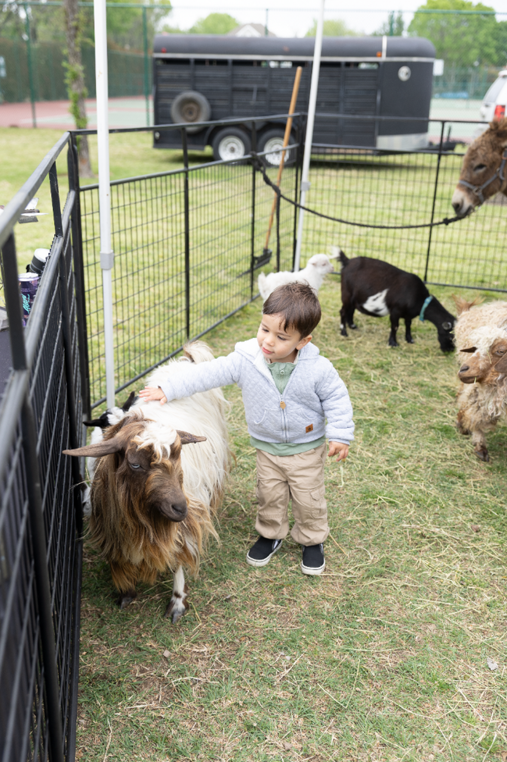 Cultural & Community Events