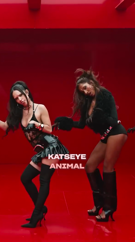 LISTEN TO KATSEYE'S 'ANIMAL' HERE