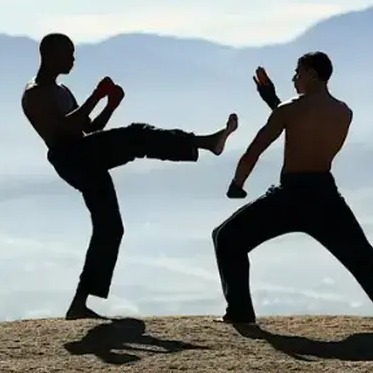 Sun Nov 15th - Krav Maga Class