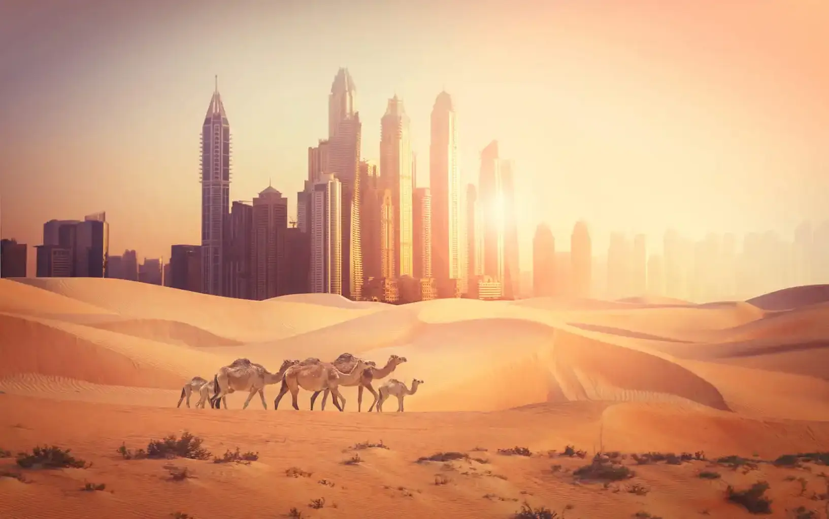 Dubai Weather Guide: Best Months to Enjoy Beaches, Desert Safaris &amp; Festivals&nbsp;